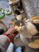 /album/262/whatsapp-image-2026-04-08-at-16-51-19-5-jpeg/